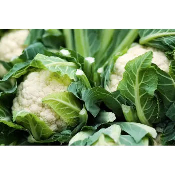 Organic Cauliflower
